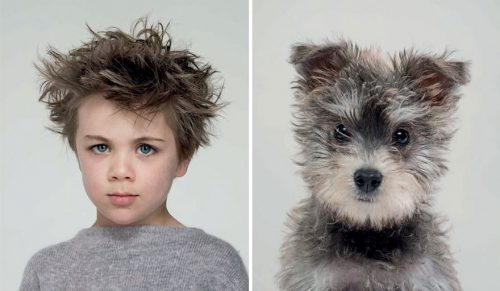 Fotograf zestawił zdjęcia psów i ich właścicieli, a podobieństwo jest niesamowite!