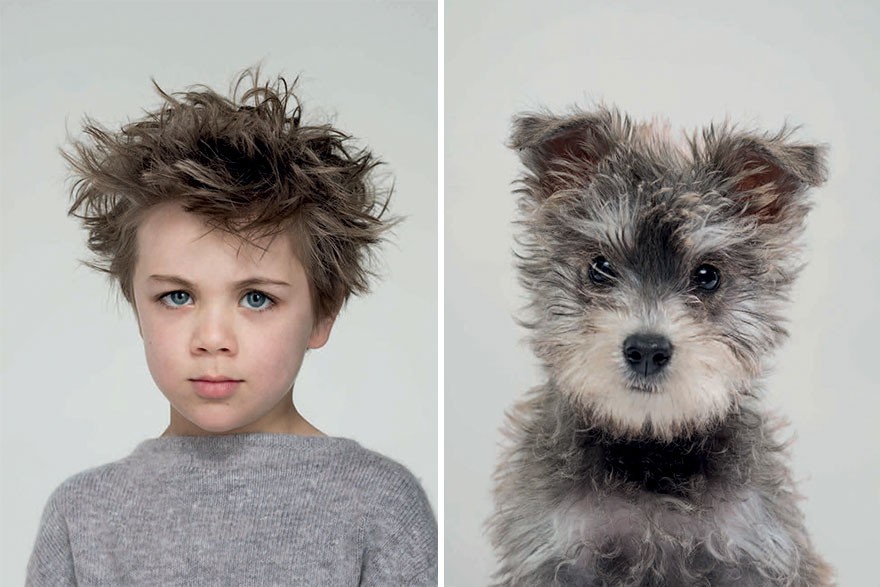 Fotograf zestawił zdjęcia psów i ich właścicieli, a podobieństwo jest niesamowite!