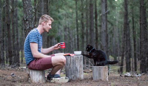 Mężczyzna spędził 3 lata podróżując ze swoim kotem w Campervanie!