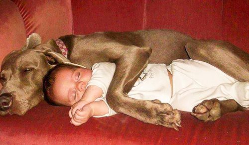 23 zdjęcia, które pokazują, dlaczego każde dziecko powinno mieć zwierzaka!