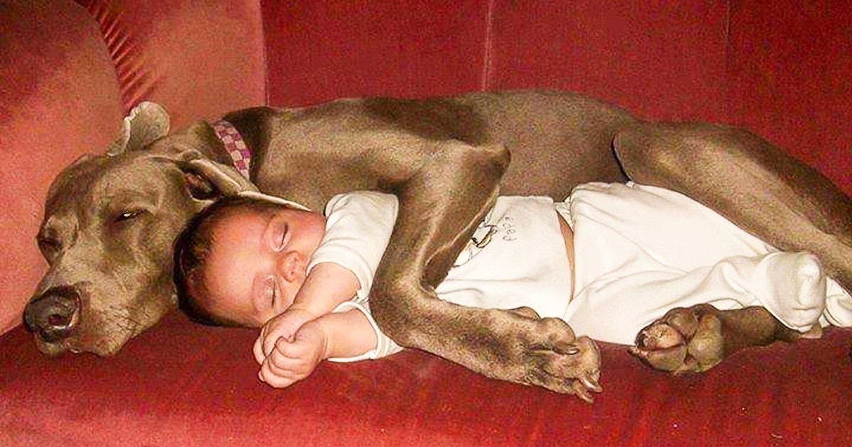 23 zdjęcia, które pokazują, dlaczego każde dziecko powinno mieć zwierzaka!