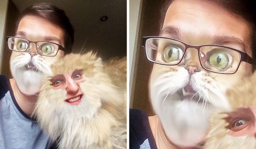 Ludzie zamieniają twarze ze swoimi zwierzętami, a to jest tak samo dziwne jak i zabawne!