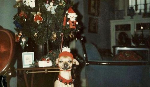 20 zdjęć świątecznego wystroju z lat 50-tych i 60-tych pokazujących, jak wiele się zmieniło!