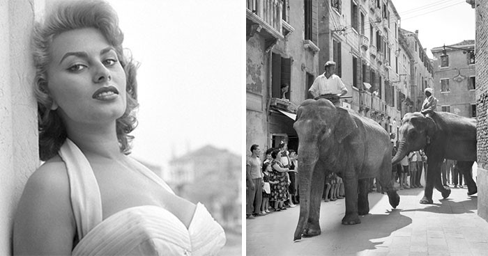 Oto fascynujące i stylowe zdjęcia gwiazd z Wenecji w latach 50. i 60.!