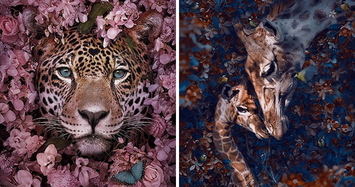 16 oszałamiających portretów zwierząt, które mają na celu podniesienie świadomości na temat zagrożonych gatunków!