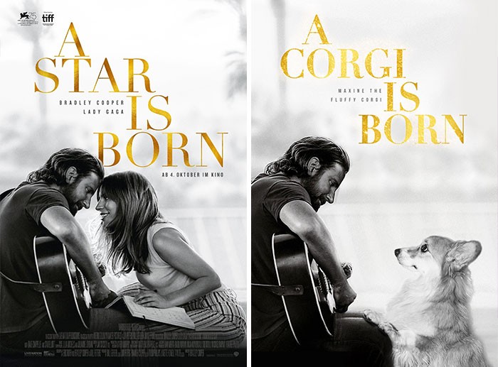 Pies Corgi został wklejony na plakaty popularnych filmów, a rezultat jest genialny!