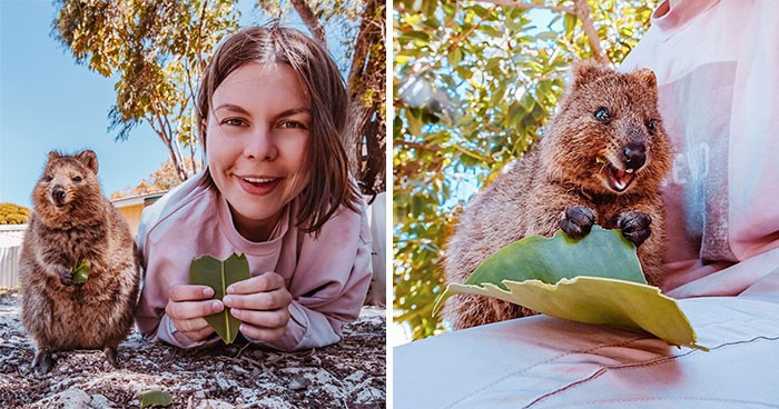 Kobieta leciała 25 godzin do Australii, by zobaczyć najsłodsze zwierzęta na świecie – kuoki!