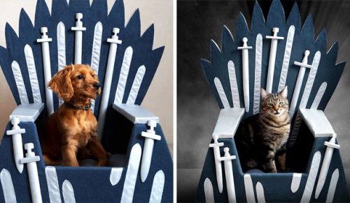Oto genialne, ręcznie robione posłania dla kotów i psów w stylu „Gry o Tron”!