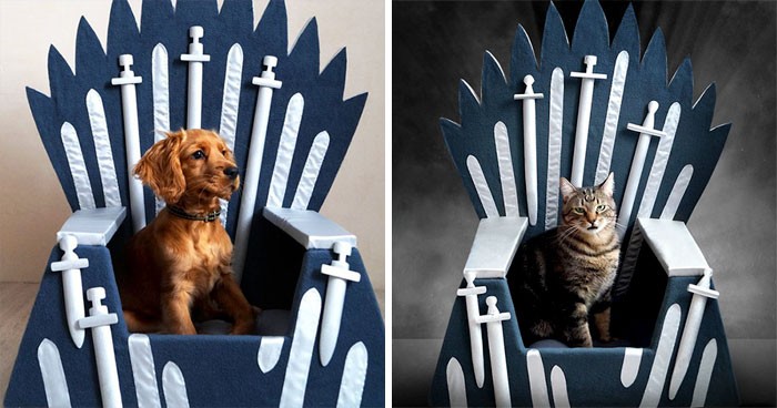 Oto genialne, ręcznie robione posłania dla kotów i psów w stylu „Gry o Tron”!
