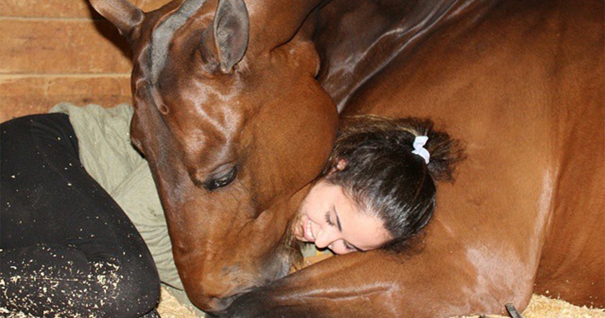 20 zwierząt, które kochają przytulanie bardziej niż cokolwiek innego!