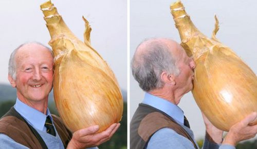 15 gigantycznych warzyw, w które trudno uwierzyć, że są prawdziwe!