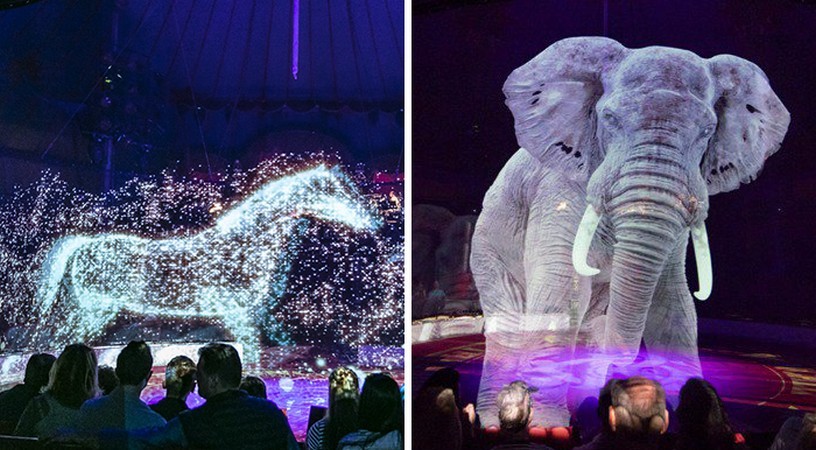 Niemiecki cyrk wykorzystuje hologramy zamiast żywych zwierząt dla magicznego pokazu bez okrucieństwa!
