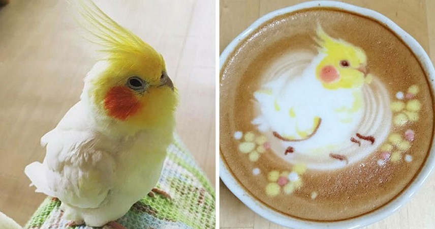 Japońska artystka tworzy piękne ptaki na kawie latte!