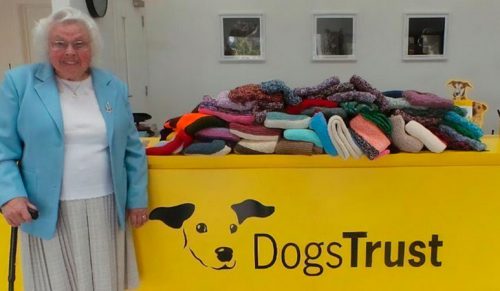 89-letnia kobieta wydziergała 450 uroczych koców dla psów schroniskowych!