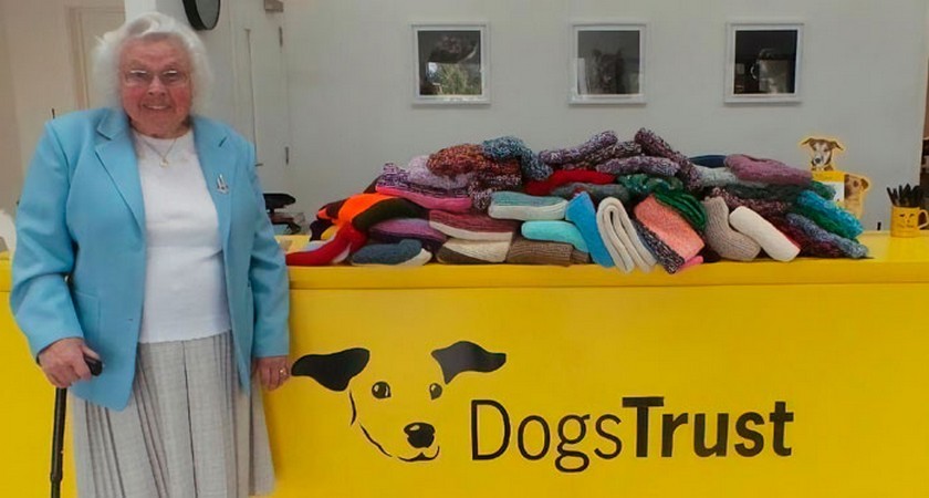 89-letnia kobieta wydziergała 450 uroczych koców dla psów schroniskowych!