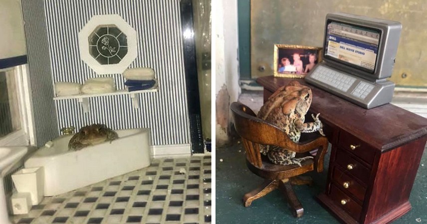 Kobieta fotografuje swoją ropuchę w domku dla lalek, a ludzie ją pokochali!