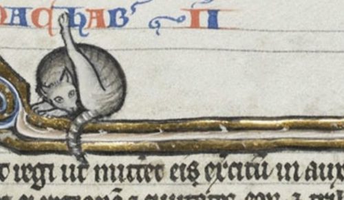 Z jakiegoś powodu artyści średniowieczni stwierdzili, że koty liżące swoje „cztery litery” są fascynujące!