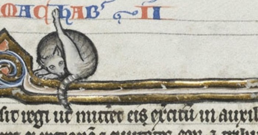 Z jakiegoś powodu artyści średniowieczni stwierdzili, że koty liżące swoje „cztery litery” są fascynujące!