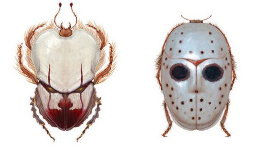 Artysta zmutował 12 owadów, aby przypominały postacie z horroru!