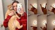 17-latka zrobiła zabawne wideo TikTok z jej kotem tańczącym do „Mr. Sandman ”!