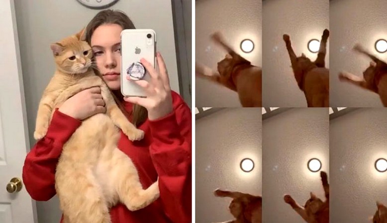 17-latka zrobiła zabawne wideo TikTok z jej kotem tańczącym do „Mr. Sandman ”!