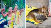 20 zdjęć, które pokazują prawdziwe znaczenie przyjaźni!