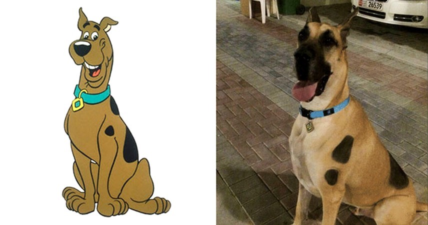 24 sobowtóry Scooby-Doo, w sam raz na 50-lecie serialu!