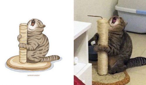 30 najśmieszniejszych znanych kotów z Internetu zostało narysowanych przez Amelię Rizky!