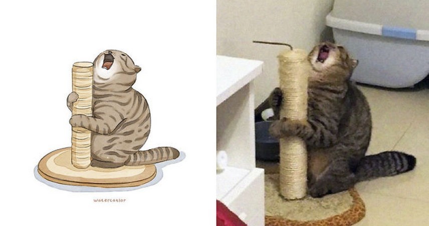 30 najśmieszniejszych znanych kotów z Internetu zostało narysowanych przez Amelię Rizky!