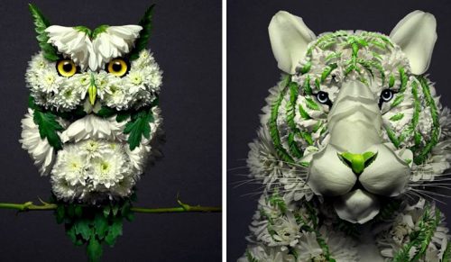 Artysta zamienia kwiaty w rzeźby zwierząt, a wyniki są jak żywe cuda!
