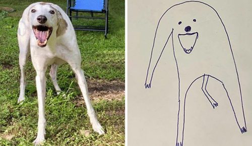 Artysta próbował narysować swojego psa, ale przypadkowo zaczął tworzyć arcydzieła!
