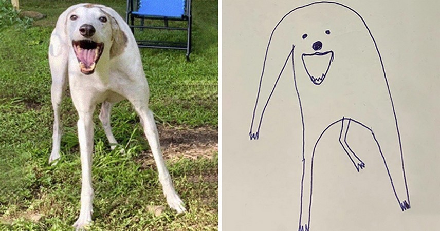 Artysta próbował narysować swojego psa, ale przypadkowo zaczął tworzyć arcydzieła!