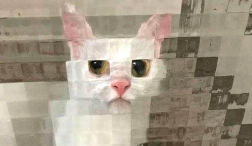 25 chwil, gdy ludzie zauważyli pikselowe koty w prawdziwym życiu i zrobili im zdjęcia!