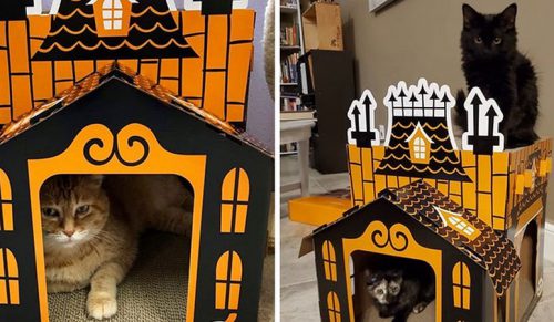 Target sprzedaje mini-nawiedzone domy dla kotów i są one idealne na Halloween!