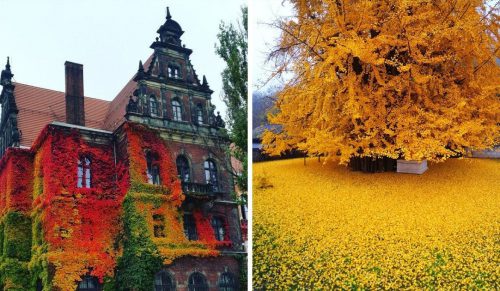 Ludzie pokazują, jak wygląda jesień na całym świecie!