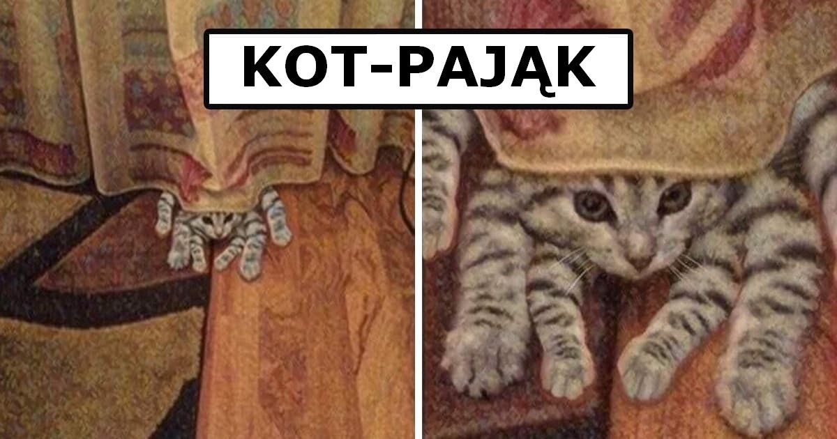 18 zdjęć, które dowodzą, że kotom nigdy nie znudzi się trollowanie ludzi!
