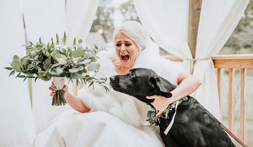 Decyzja Panny Młodej, aby przyprowadzić swojego psa na ślubną sesję zdjęciową sprawiła, że ​​zdjęcia zdobyły sławę!