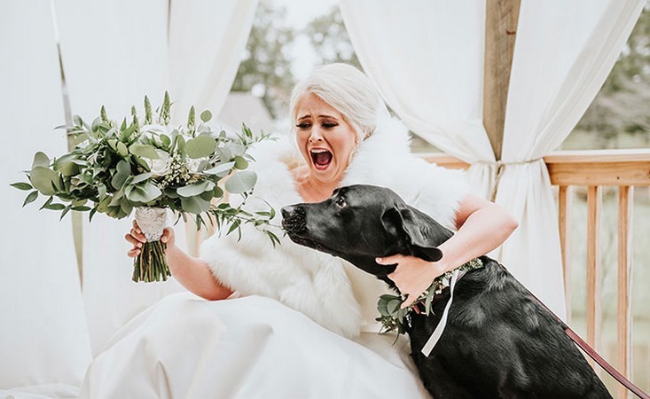 Decyzja Panny Młodej, aby przyprowadzić swojego psa na ślubną sesję zdjęciową sprawiła, że ​​zdjęcia zdobyły sławę!