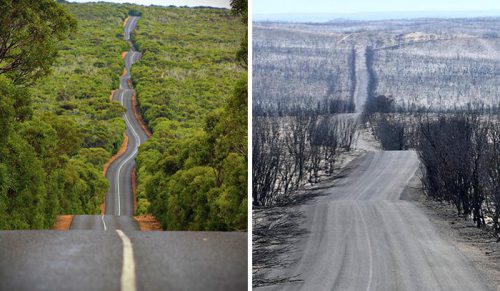 19 zdjęć Australii „przed i po” pokazujących, ile szkód spowodowały pożary!