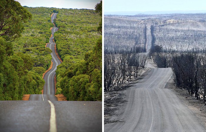 19 zdjęć Australii „przed i po” pokazujących, ile szkód spowodowały pożary!