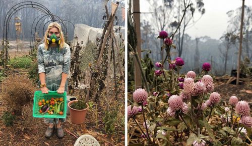 Australijka udostępnia zdjęcia po pożarze, który zniszczył jej dom, ale pozostawił ogród nietknięty!