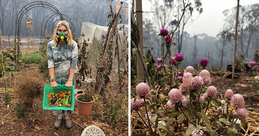 Australijka udostępnia zdjęcia po pożarze, który zniszczył jej dom, ale pozostawił ogród nietknięty!