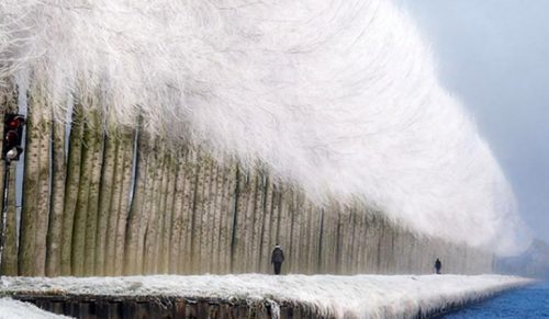 15 zdjęć, które przedstawiają niesamowitą magię zimy!