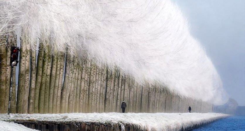 15 zdjęć, które przedstawiają niesamowitą magię zimy!