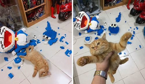 Kot zniszczył 2432-częściową figurkę Doraemona i nie wydaje się tego żałować!