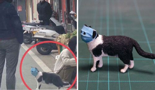 Artysta przemienia zabawne zdjęcia zwierzaków w rzeźby, czyniąc je jeszcze śmieszniejszymi!