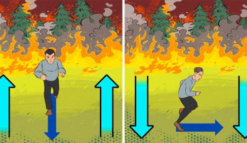 11 sposobów na przetrwanie pożaru, o których należy pamiętać!