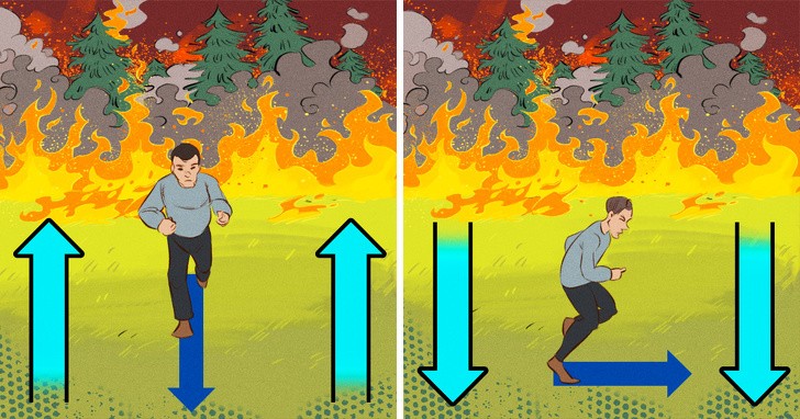 11 sposobów na przetrwanie pożaru, o których należy pamiętać!