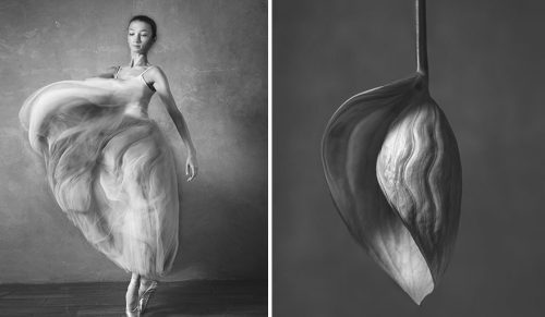 Artystka stworzyła niesamowitą serię zdjęć porównującą baletnice z kwiatami!