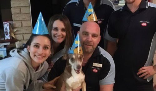 Rodzina organizuje przyjęcie urodzinowe dla swojego 13 letniego psa, który nie może uwierzyć w to, że pamiętali!